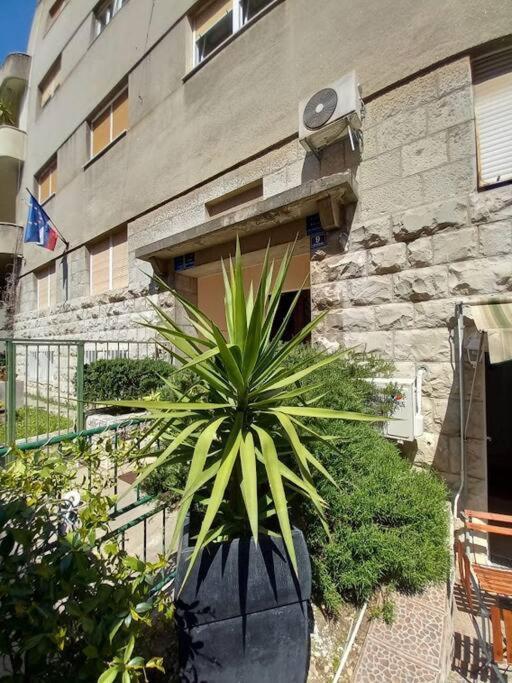 Appartement Yucca Split