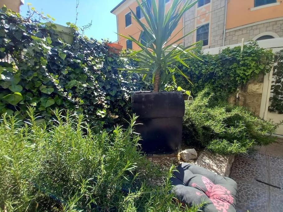 Yucca Appartement